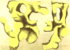 Silex jaune sur fond beige - gouache 1932